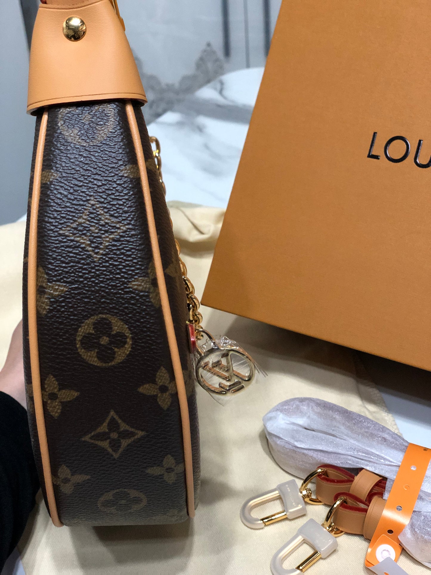Louis Vuitton Loop Bag