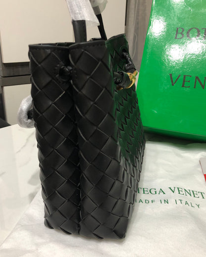 Bottega Veneta Andiamo bag
