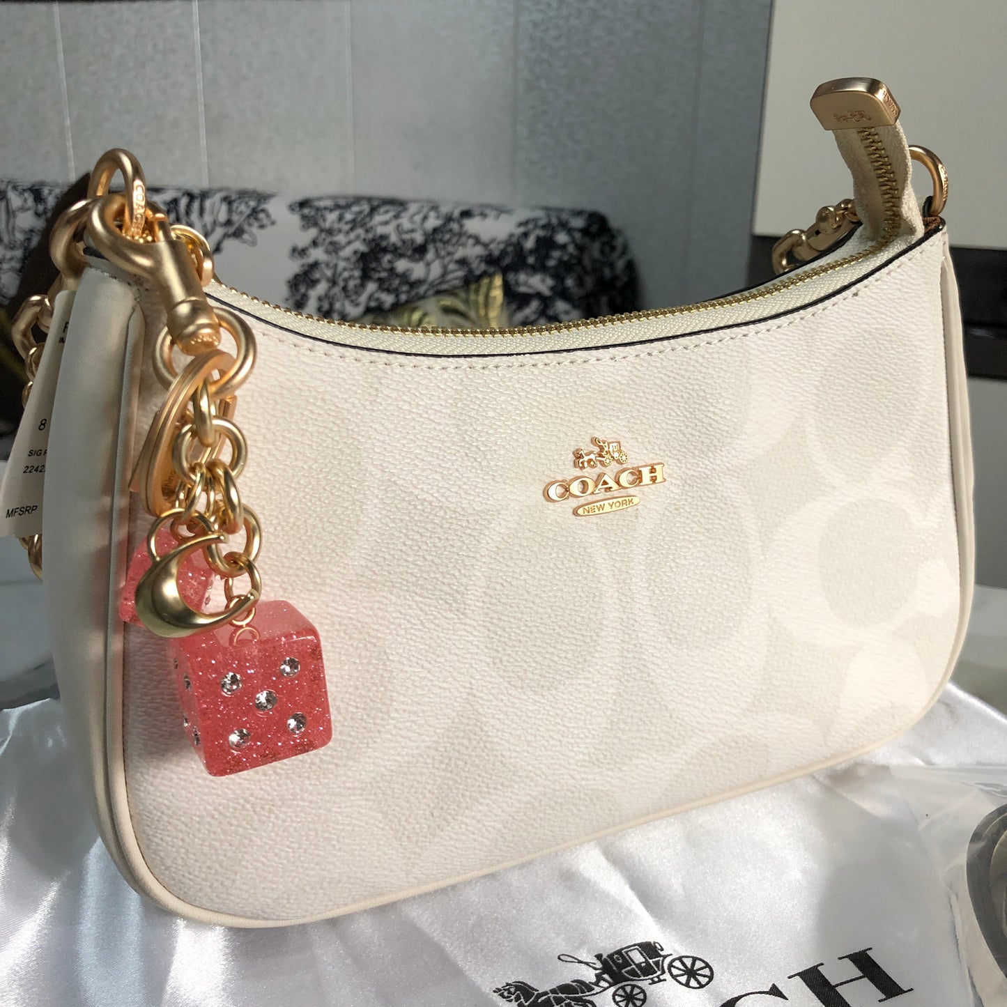Coach Teri Shoulder Bag