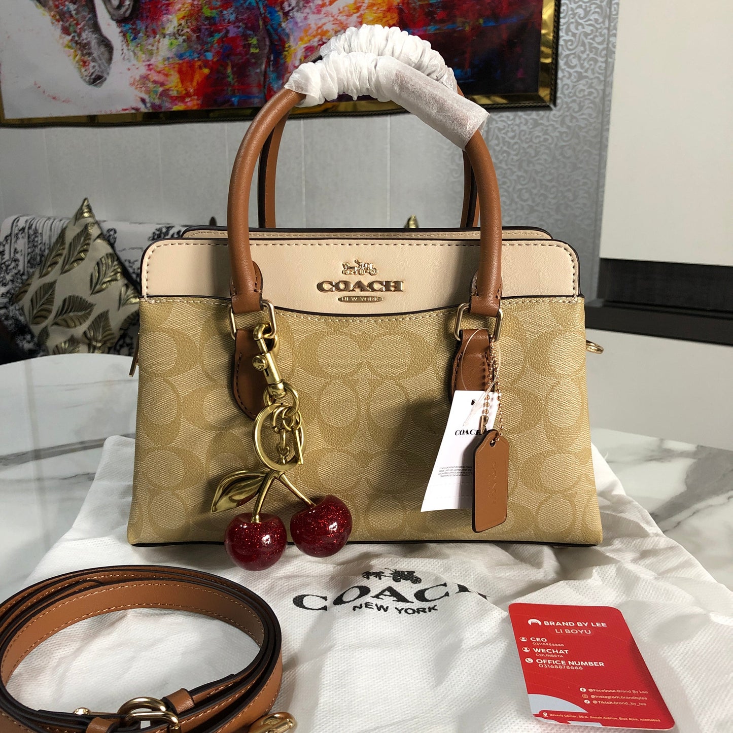 Coach Mini Darcie Carryall Bag