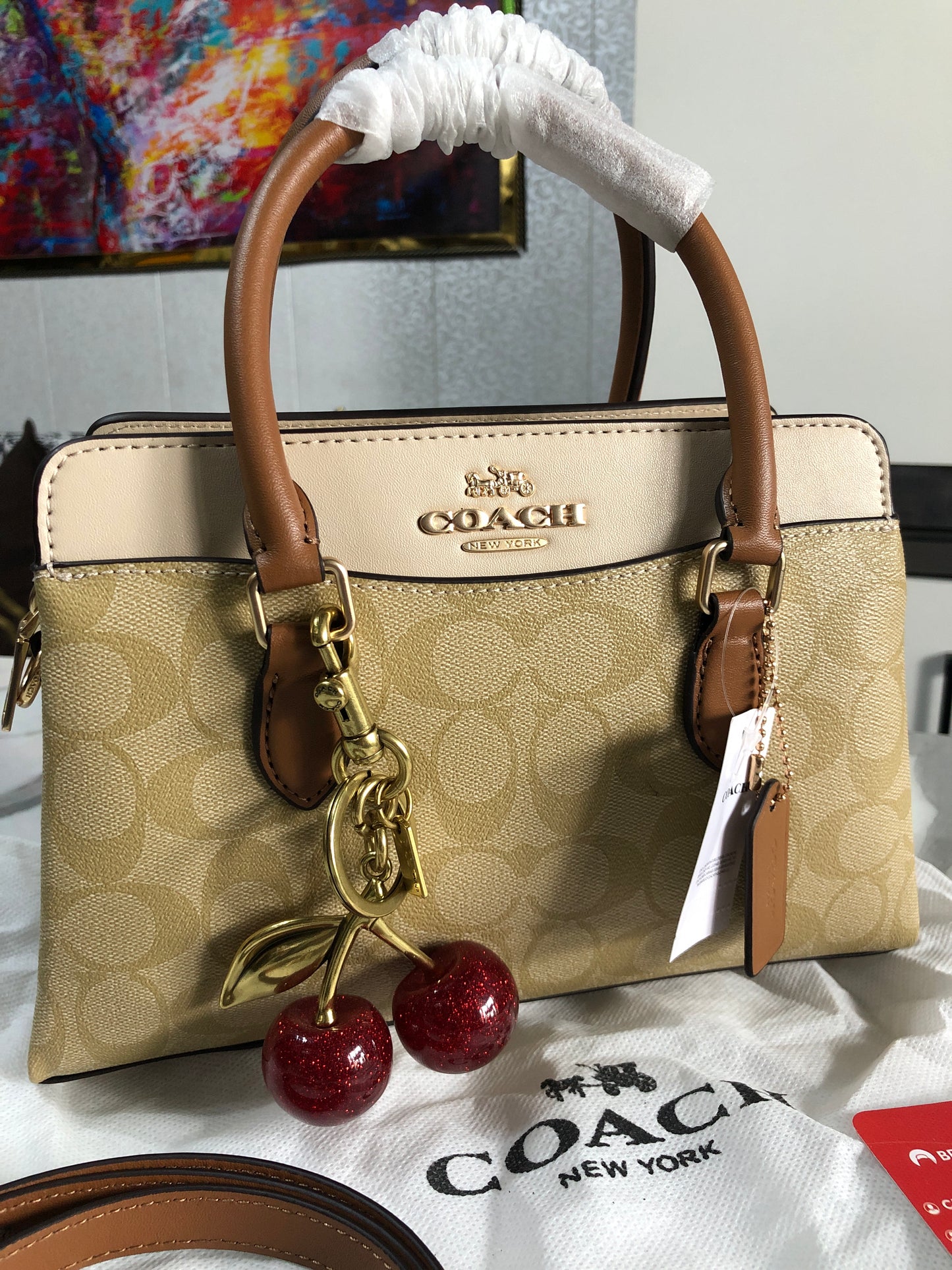 Coach Mini Darcie Carryall Bag