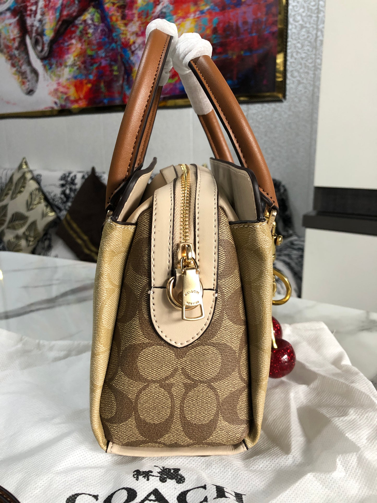 Coach Mini Darcie Carryall Bag