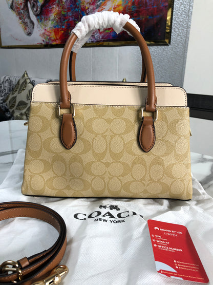 Coach Mini Darcie Carryall Bag