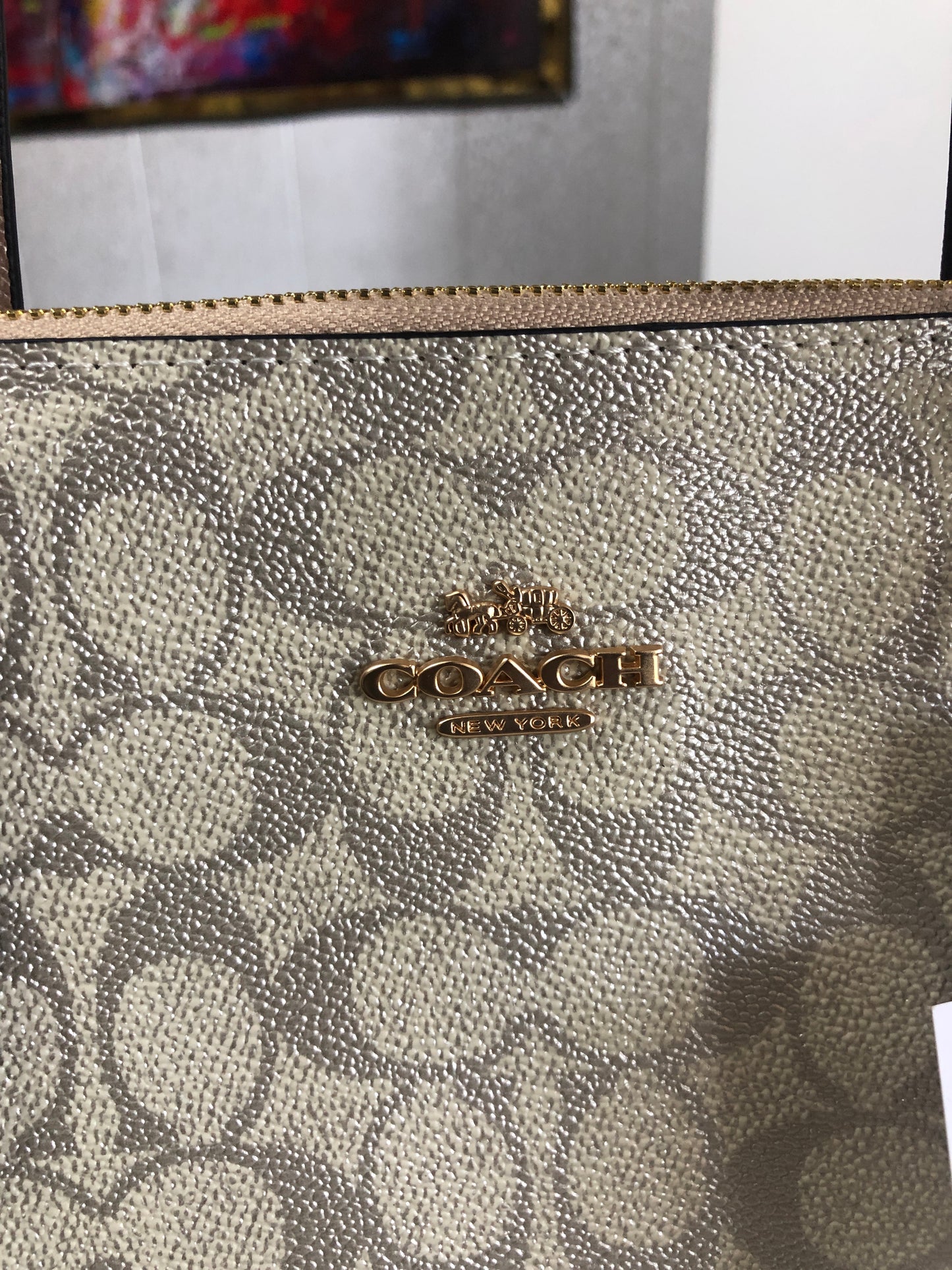 Coach Fiona Zip Tote Bag in Signature Canvas.