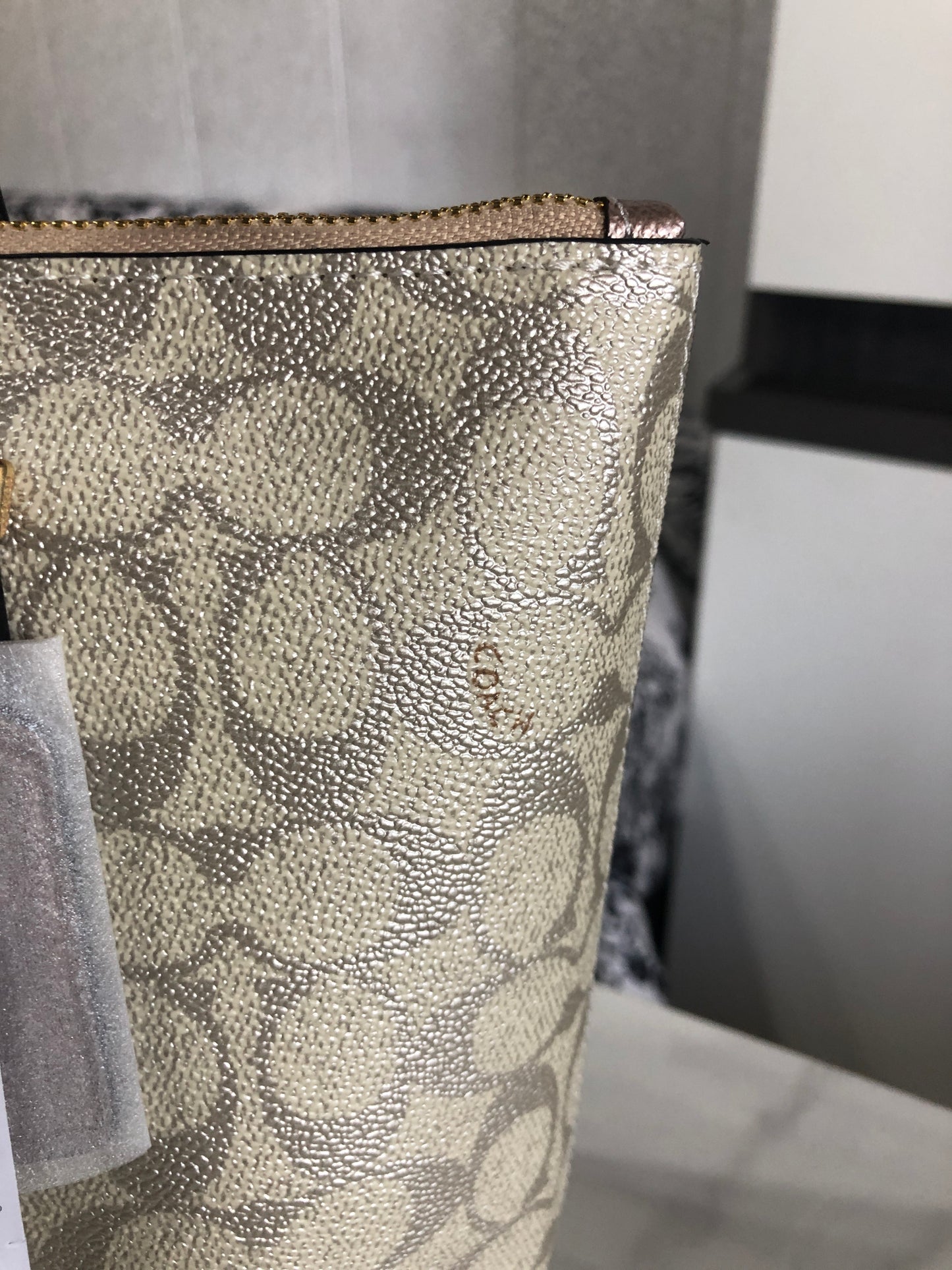 Coach Fiona Zip Tote Bag in Signature Canvas.