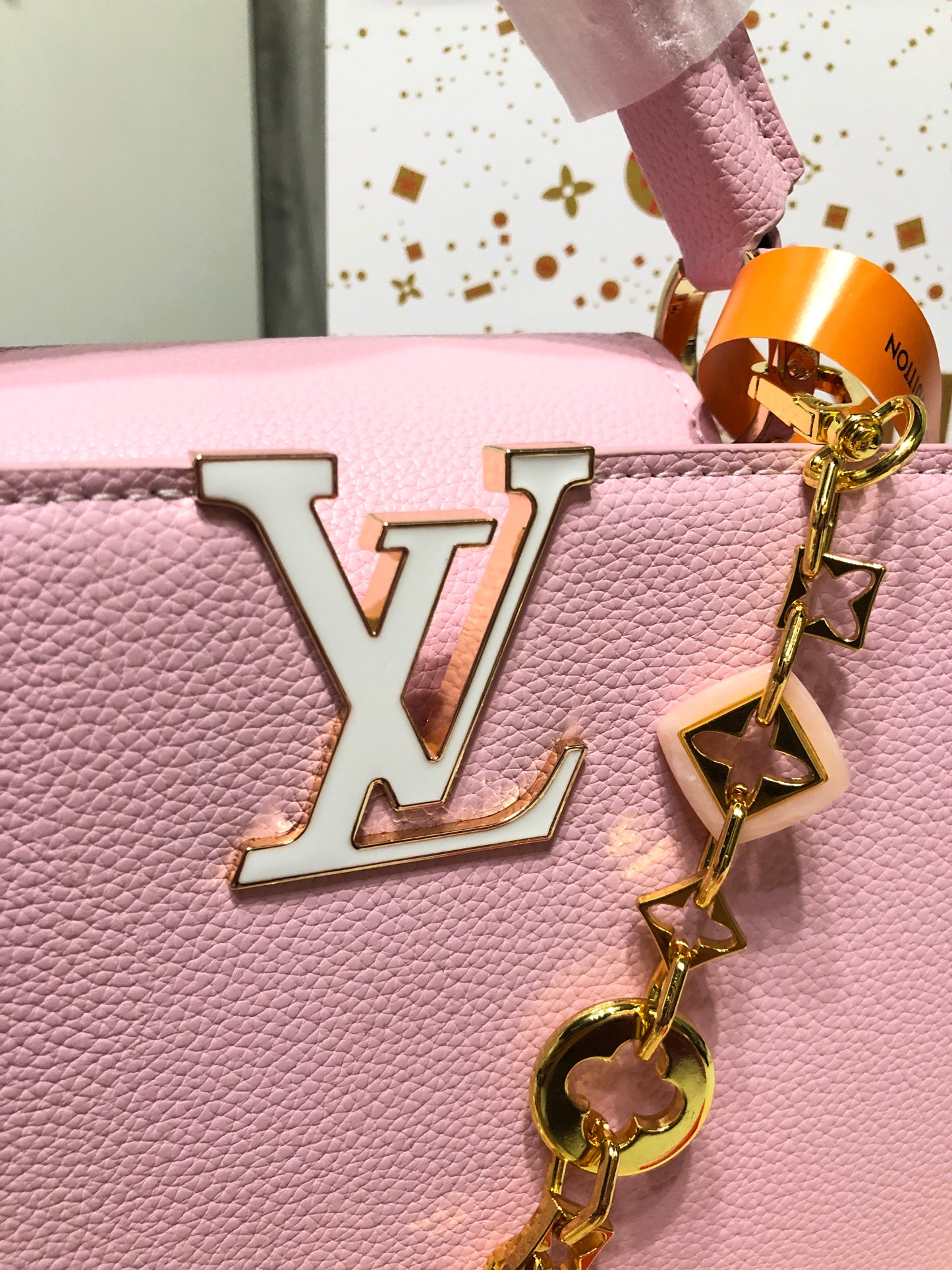 Louis Vuitton Capucines Bag