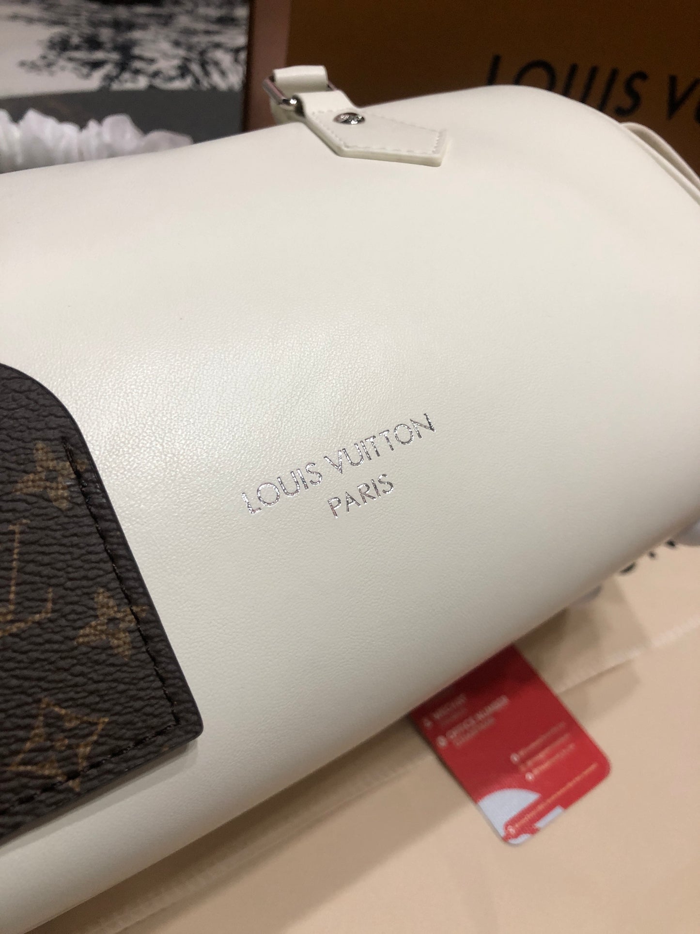Louis Vuitton Speedy Cargo Vibe bag