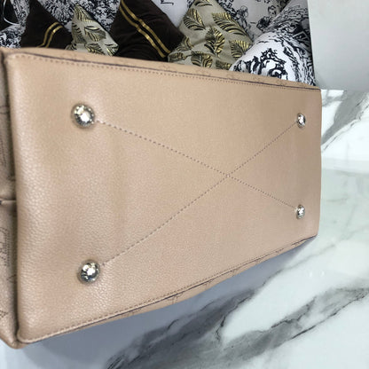 Louis Vuitton Carmel Hobo bag