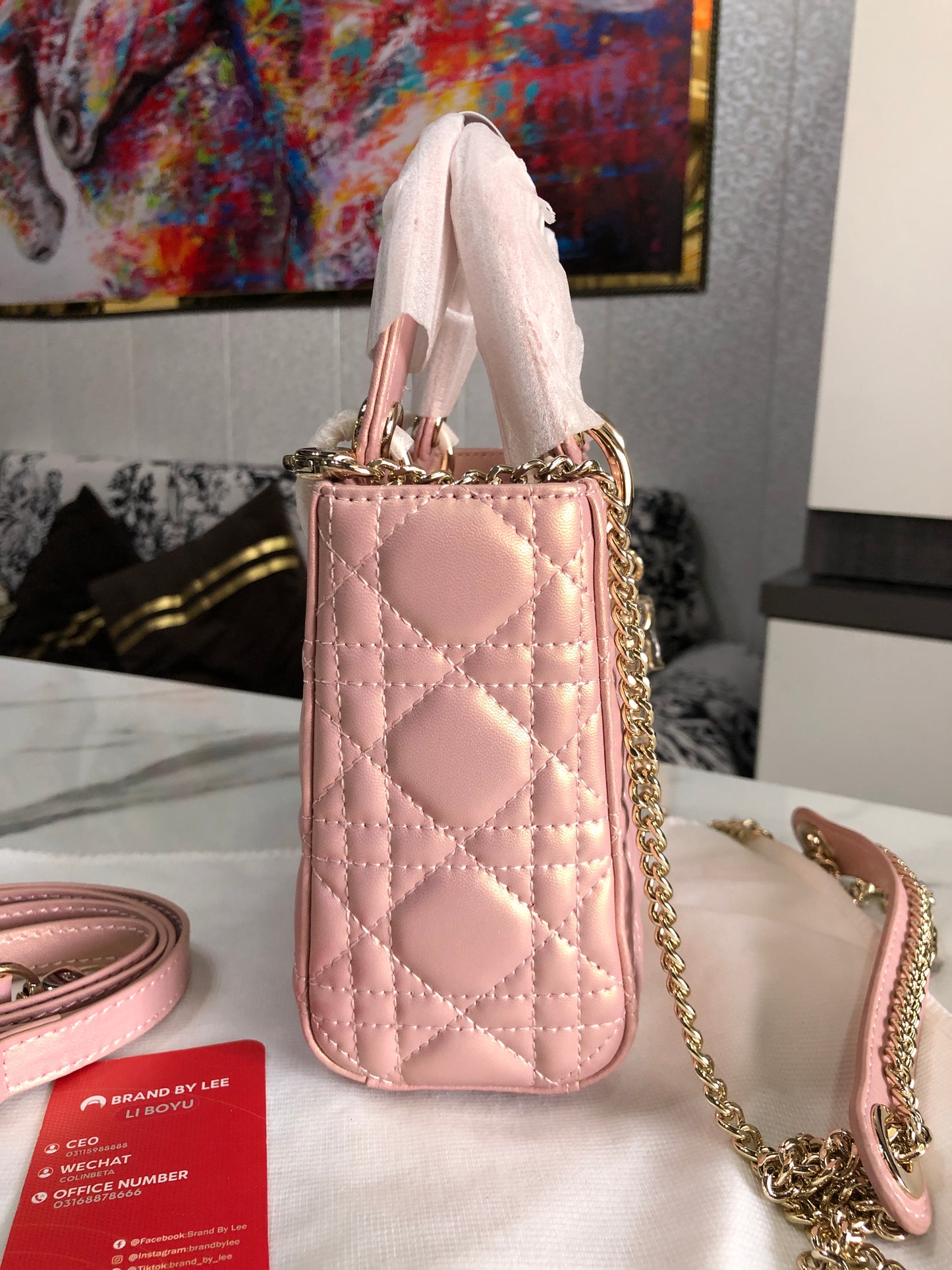 Mini Lady Dior Bag