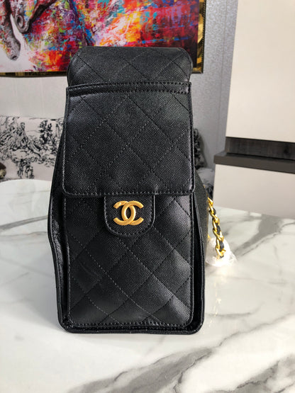 Chanel 25 hobo bag