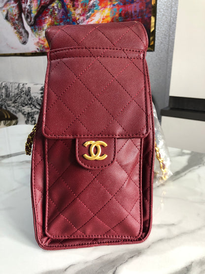 Chanel 25 hobo bag