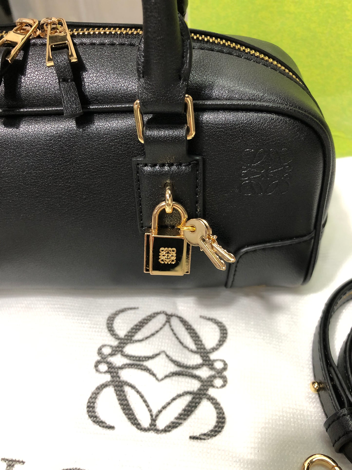 Loewe Amazona Bag