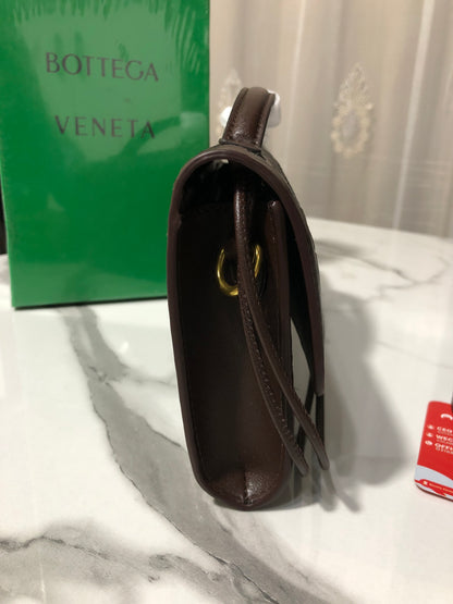 Bottega Veneta Andiamo clutch
