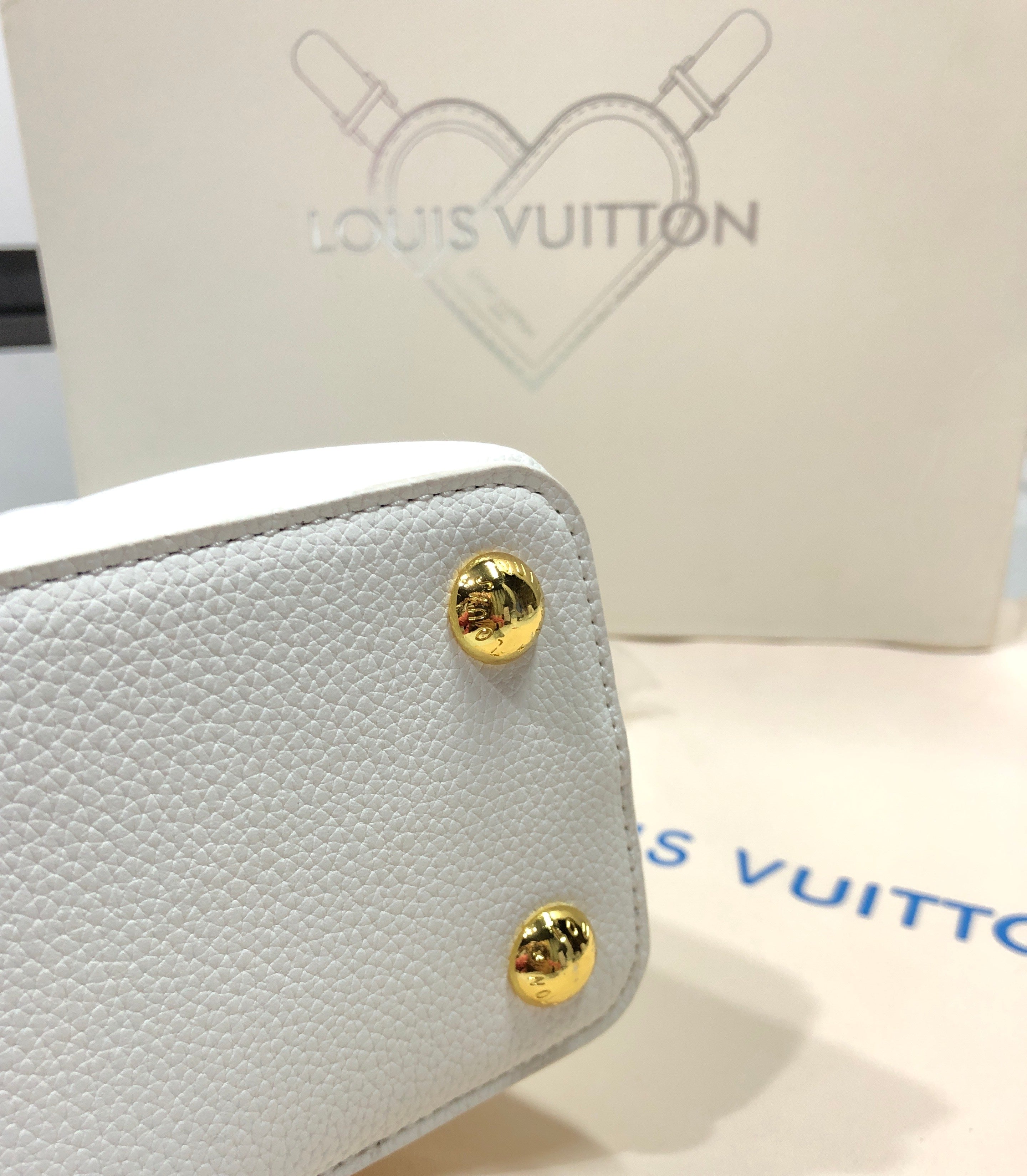 Louis Vuitton Capucines Bag