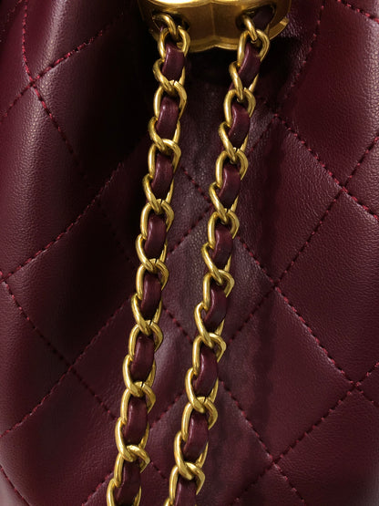 Chanel 25 Hobo Bag