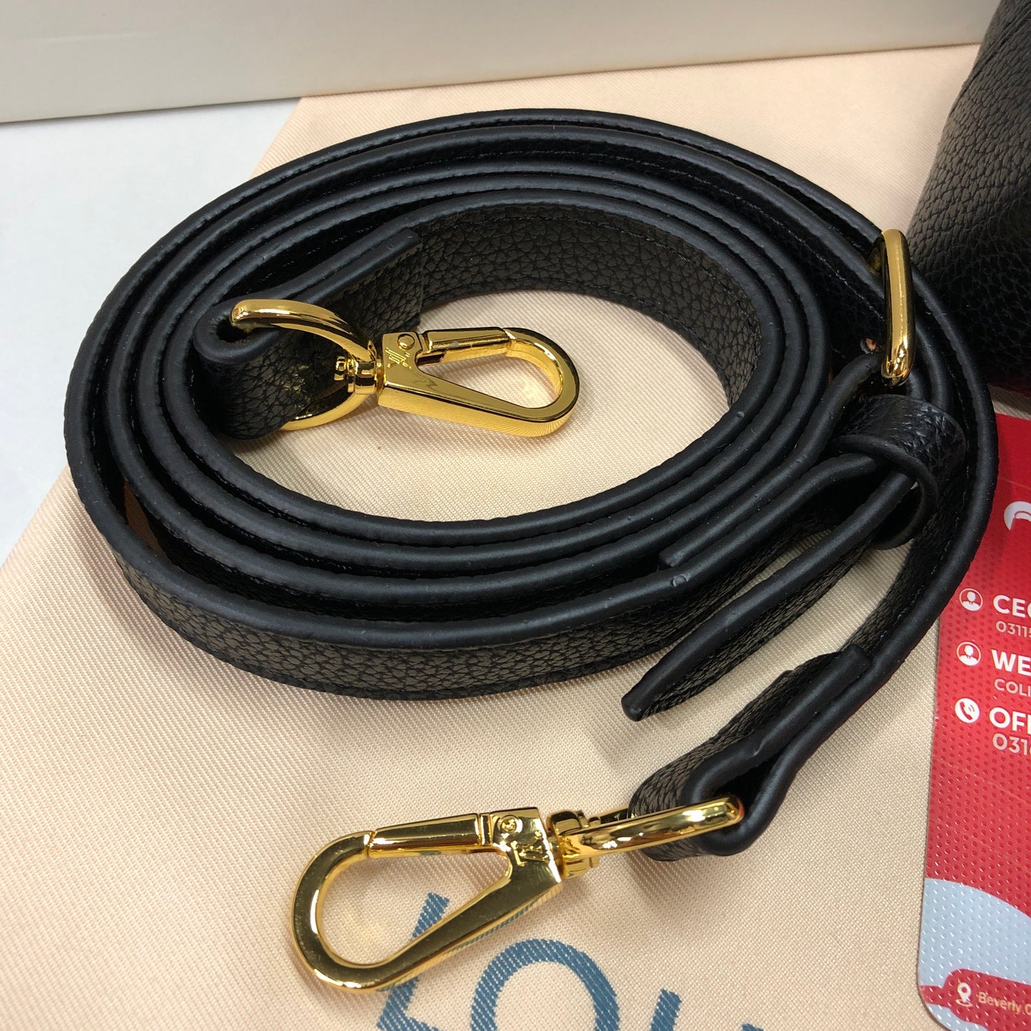 Louis Vuitton Capucines Mini Bag