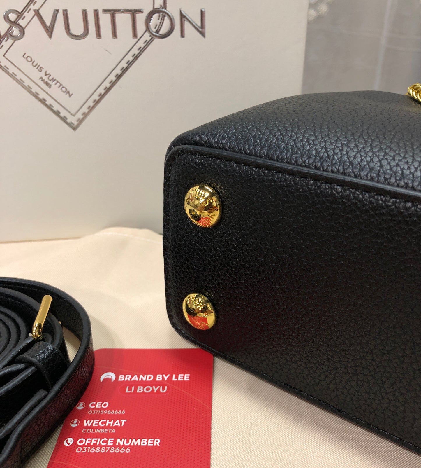 Louis Vuitton Capucines Mini Bag