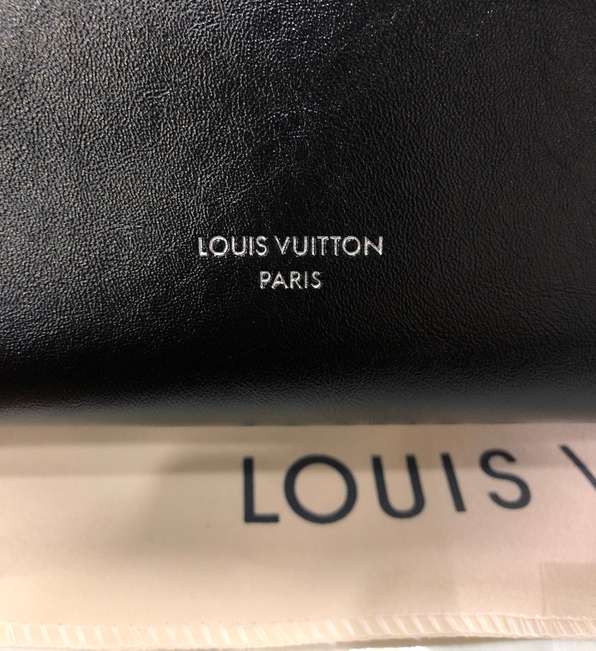 Louis Vuitton CarryAll Cargo Vibe PM