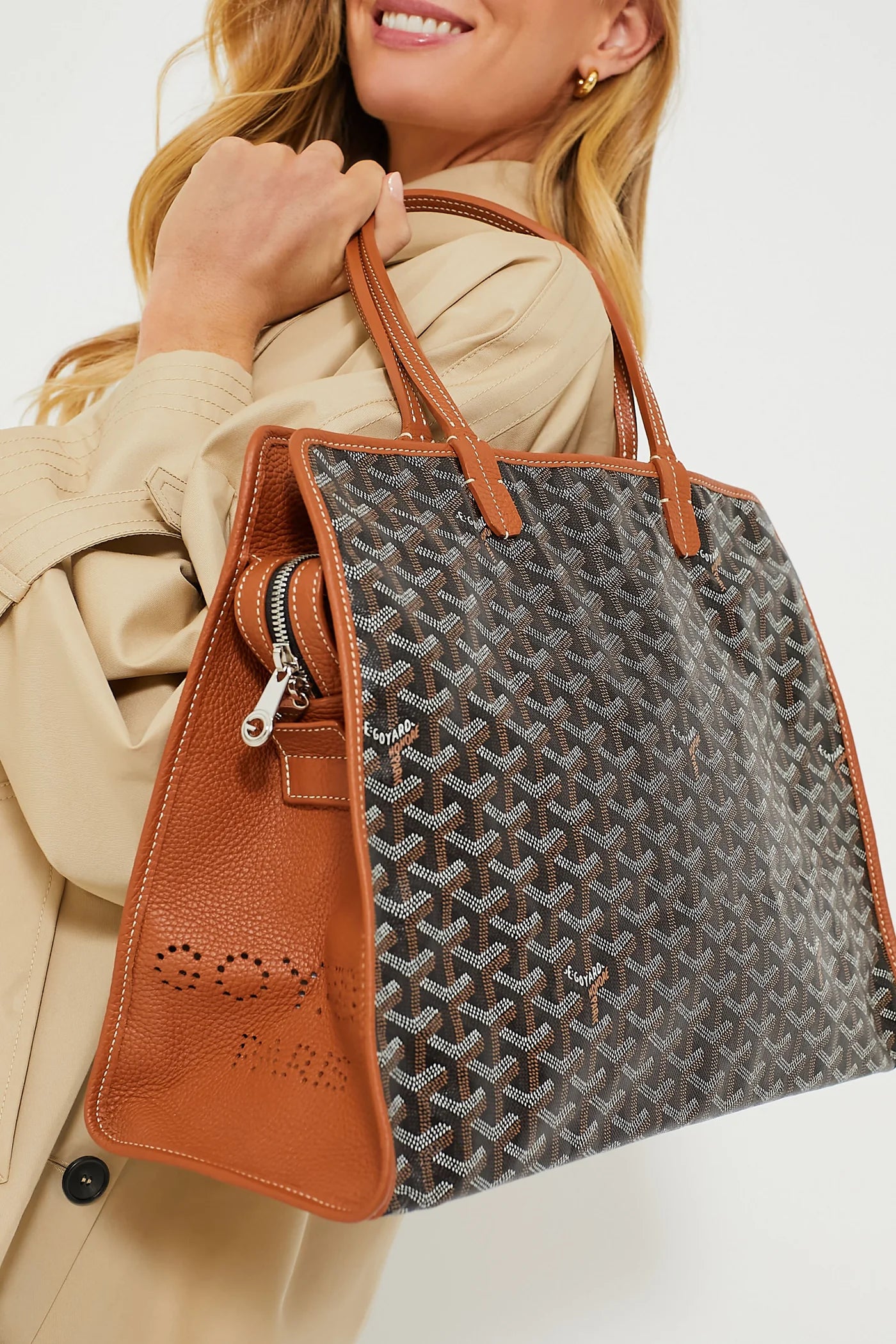 Goyard Sac Hardy PM Tote Bag